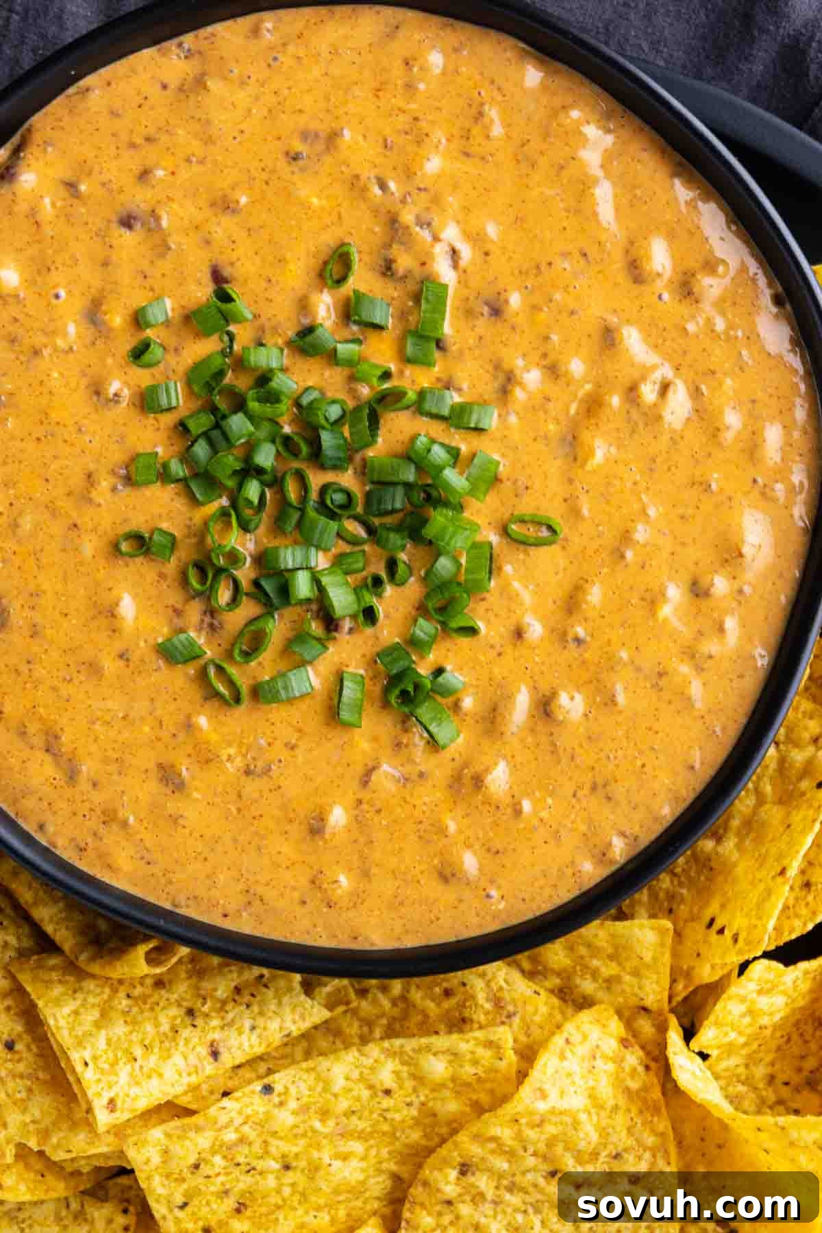 A rustic bowl of creamy chili cheese dip, topped with finely chopped green onions, surrounded by an assortment of crispy tortilla chips.