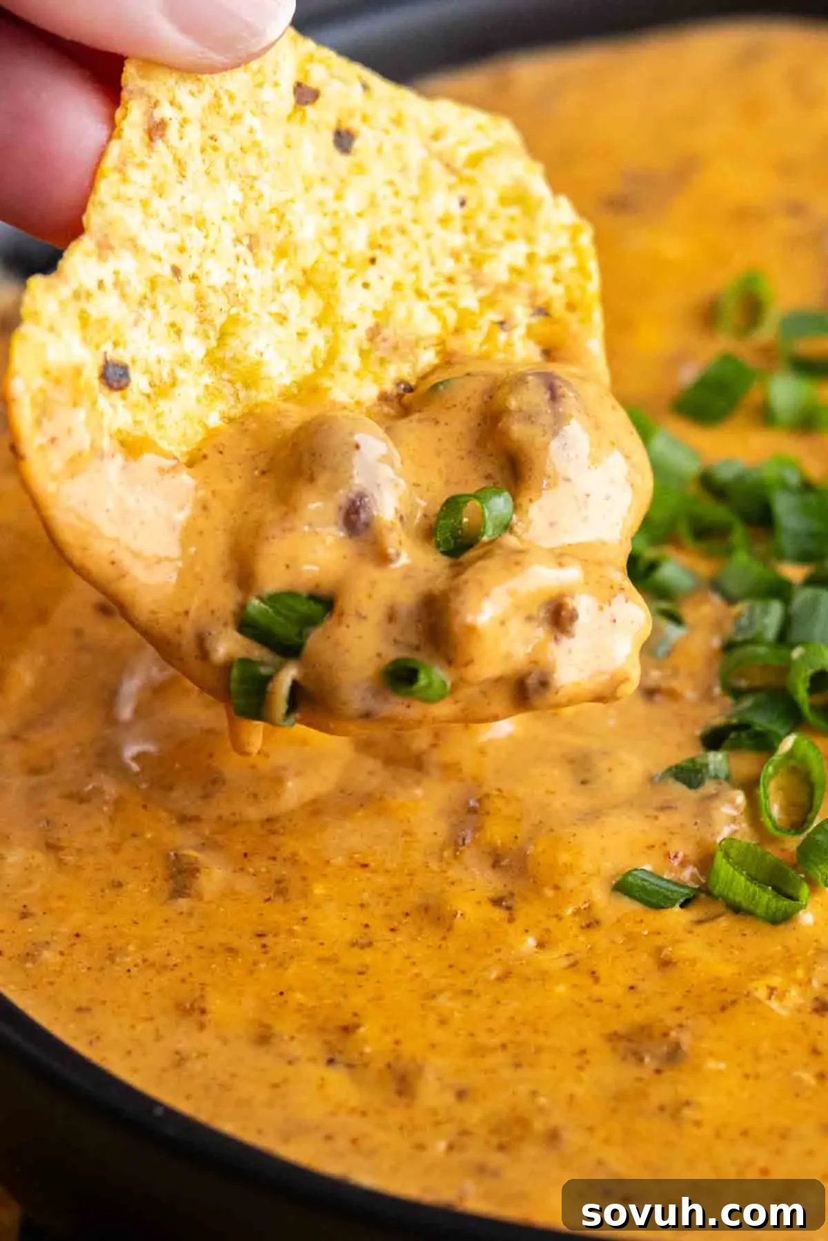 Close-up of a golden tortilla chip being pulled from a bowl of creamy chili cheese dip, showing its gooey texture, topped with vibrant green onions.