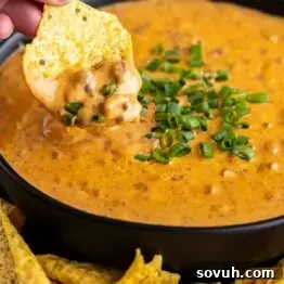 A tortilla chip dipped into a bowl of cheesy nacho dip garnished with chopped green onions.