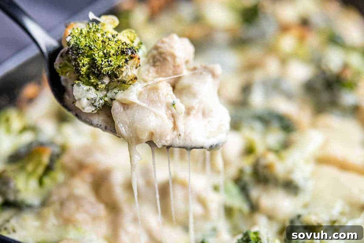 A spoon lifts a delightful scoop of cheesy broccoli and chicken from a bubbling casserole dish, showcasing its rich, creamy texture and vibrant ingredients.