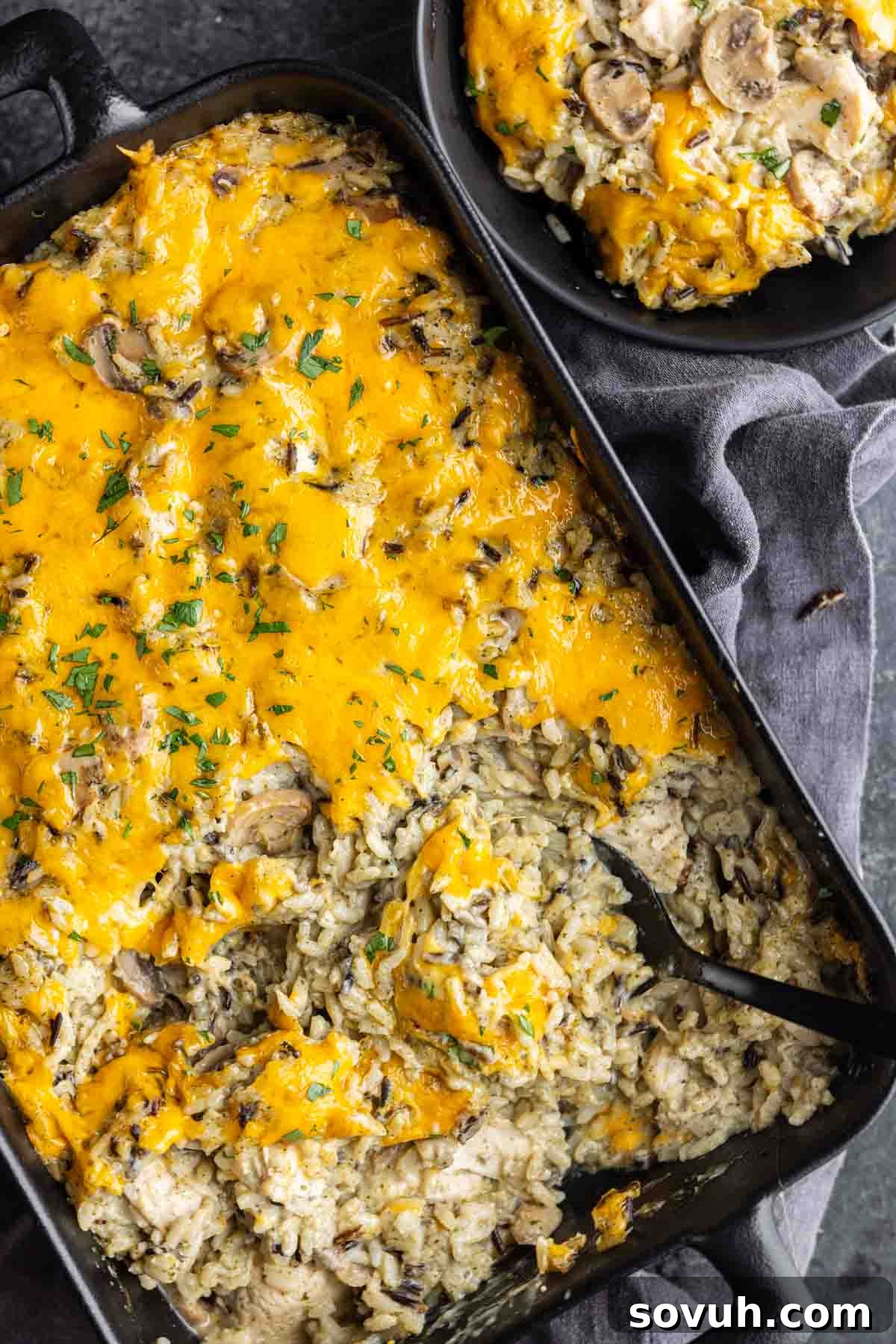 Casserole dish with creamy rice, chicken pieces, mushrooms, and melted cheese on top, garnished with herbs. A portion is served on a plate nearby.