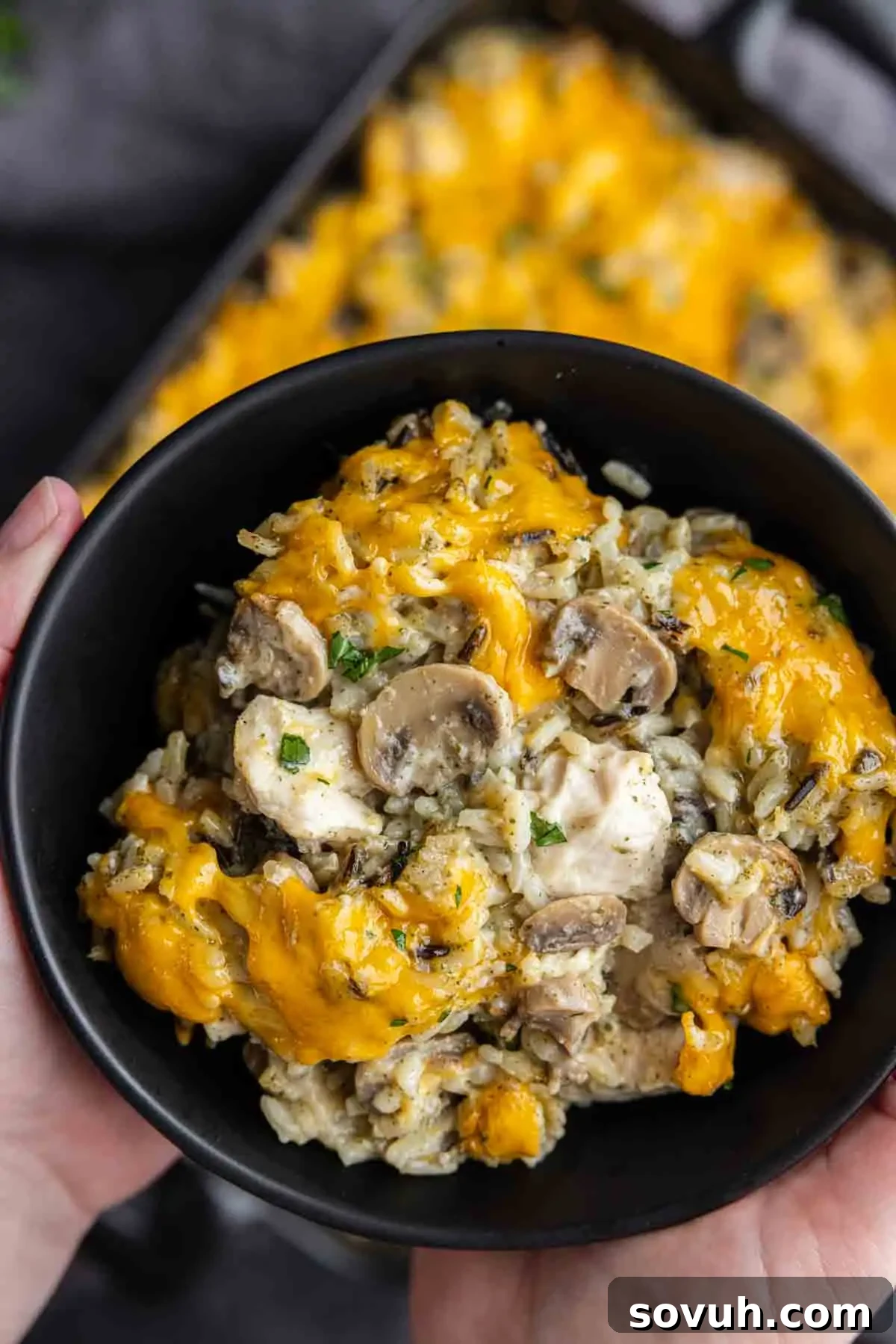 A bowl of baked rice with chicken, mushrooms, and melted cheese, held in hands.