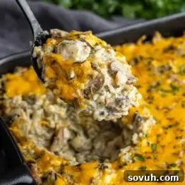 A spoonful of cheesy mushroom and rice casserole is lifted from a black baking dish, showing a creamy texture and golden-brown cheese topping.