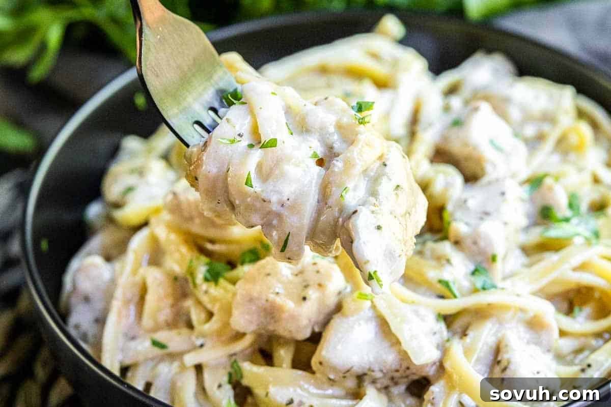 A forkful of creamy Instant Pot Chicken Alfredo pasta, generously garnished with fresh green herbs, is held above a sleek black bowl filled with the comforting, cheesy dish.