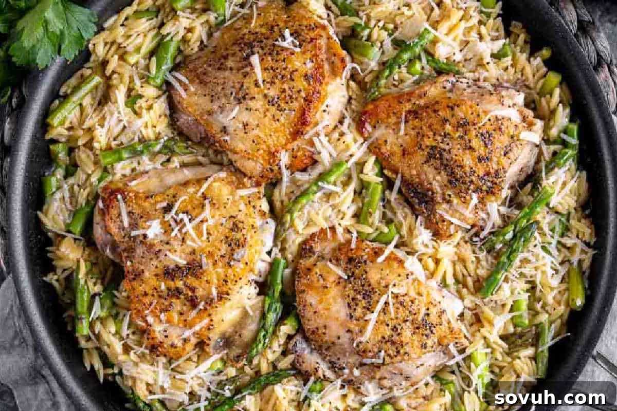 A golden pan filled with perfectly baked chicken thighs, their crispy skin glistening, nestled on a creamy bed of orzo pasta mixed with vibrant green asparagus spears and generously sprinkled with freshly grated Parmesan cheese.