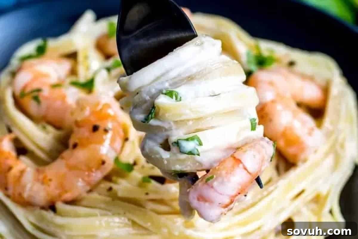 A fork holding creamy pasta with shrimp over a plate.