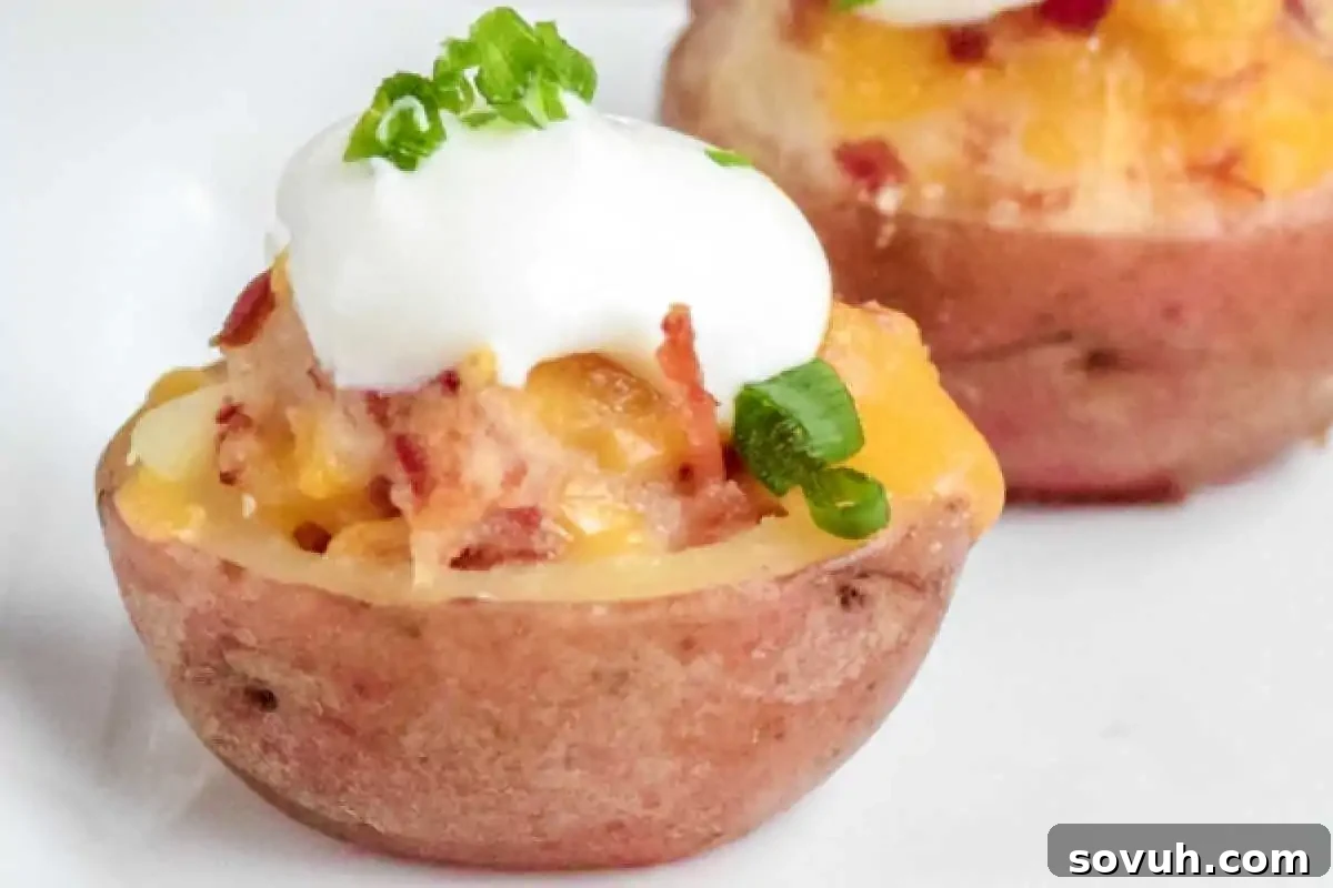 A delightful close-up of a stuffed potato half, beautifully topped with golden melted cheese, a dollop of creamy sour cream, crispy bacon bits, and finely sliced green onions, presented on a clean white plate.