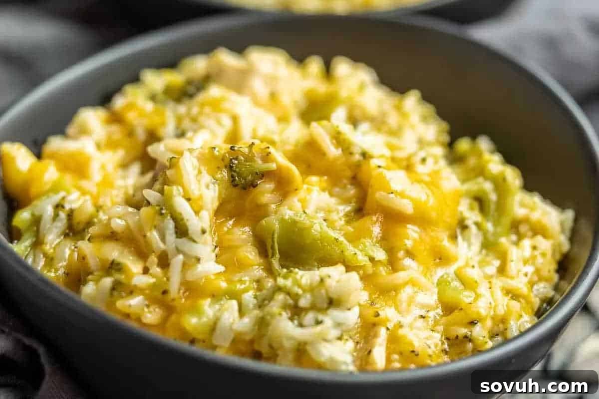A close-up of a bowl filled with creamy chicken, broccoli, and rice casserole topped with melted cheese.