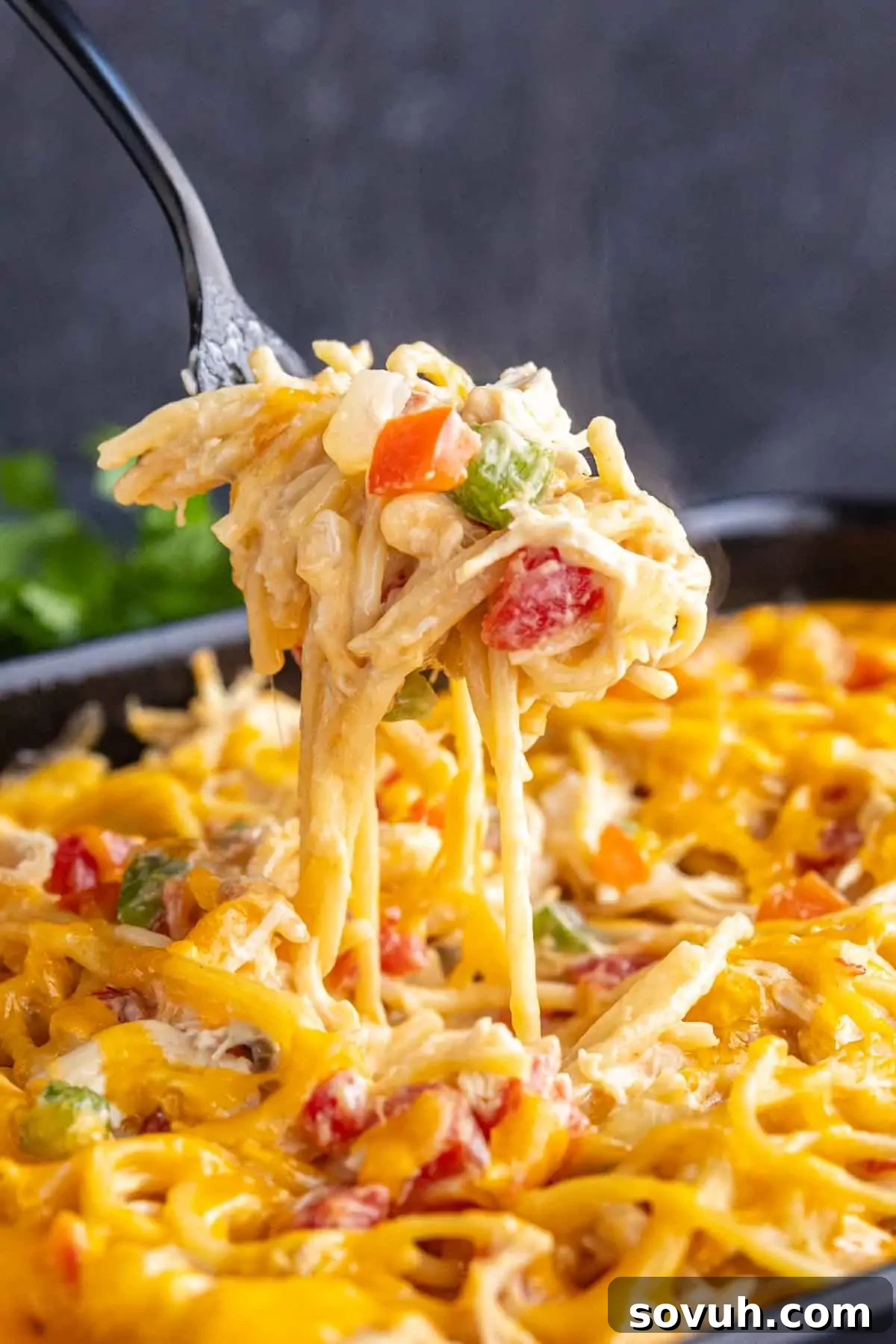 Close-up of a fork lifting a portion of creamy chicken spaghetti with melted cheese, red and green peppers from a black dish.