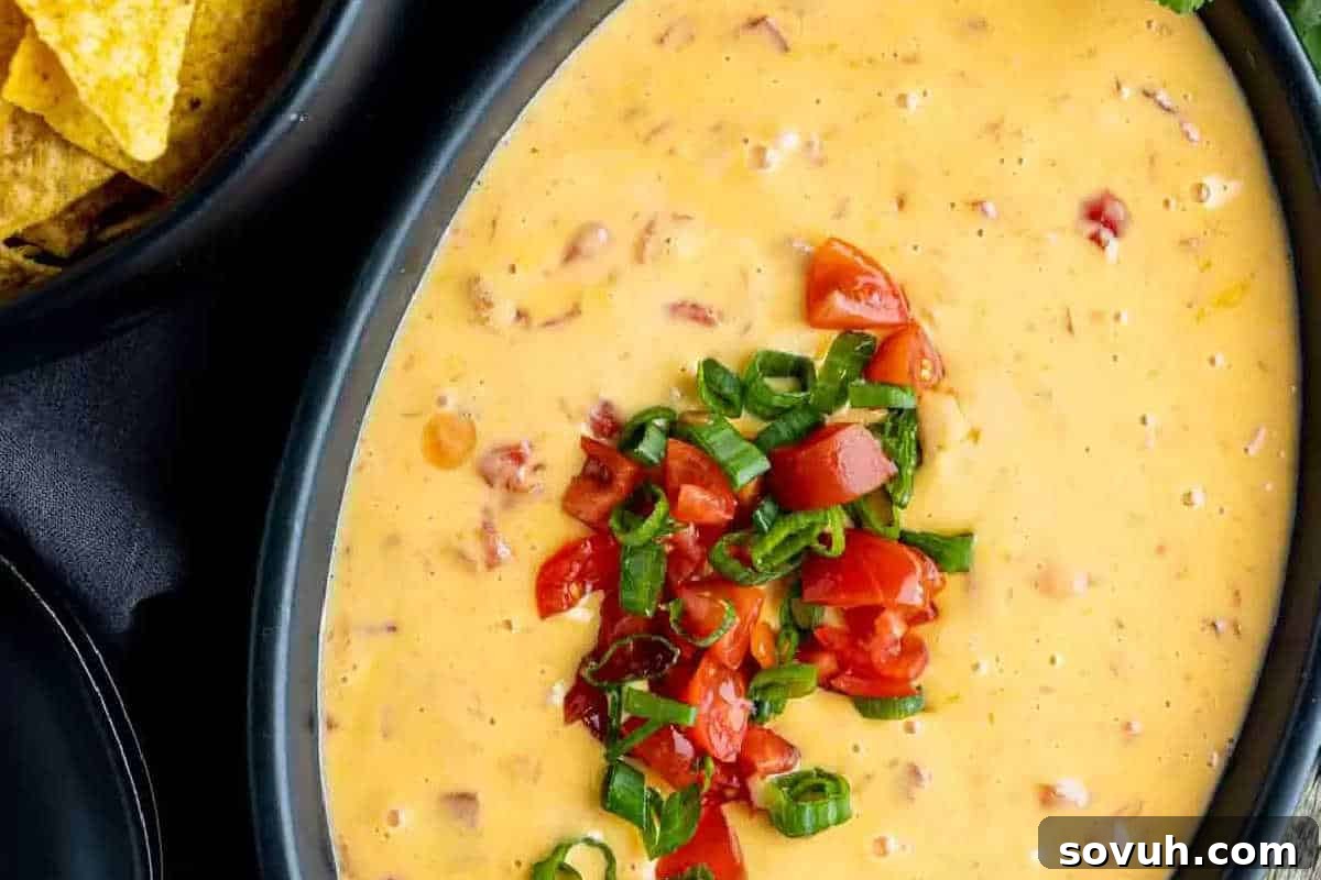 Bowl of cheese dip with diced tomatoes and green onions on top, next to corn chips in a black dish.