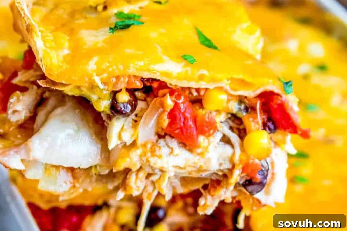 Close-up of a cheesy taco casserole with visible layers of tortillas, chicken, black beans, corn, and diced tomatoes, topped with melted cheese and garnished with chopped herbs.