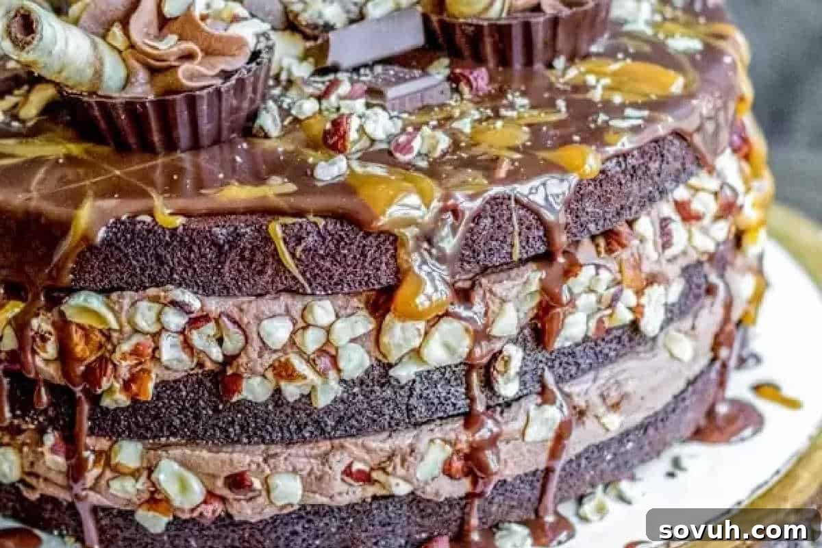Close-up of a multi-layer chocolate cake topped with chocolate cups, caramel drizzle, and chopped nuts, displaying visible layers of chocolate frosting and nuts between the cake layers.