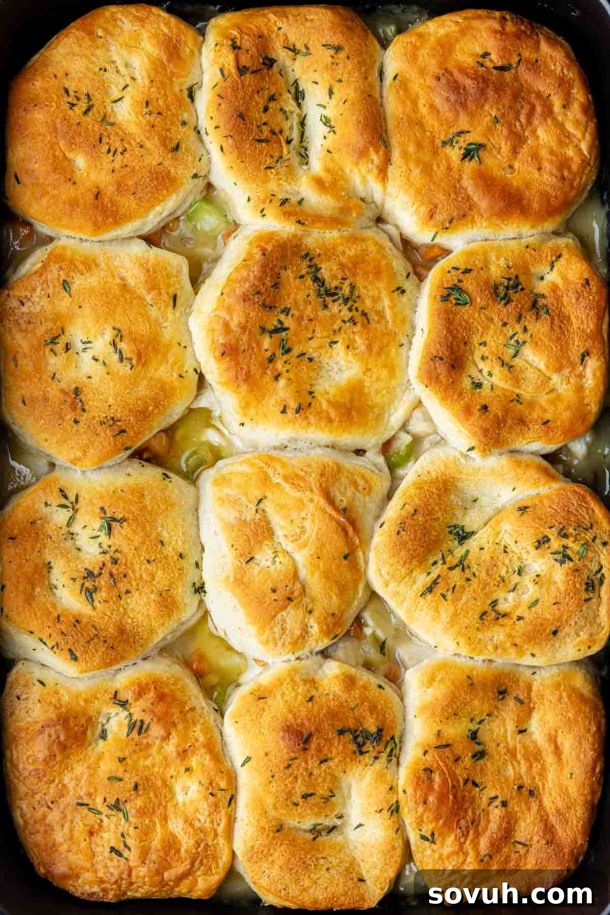 Top view of a baked dish featuring golden-brown biscuits arranged on top of a savory mixture, garnished with herbs.