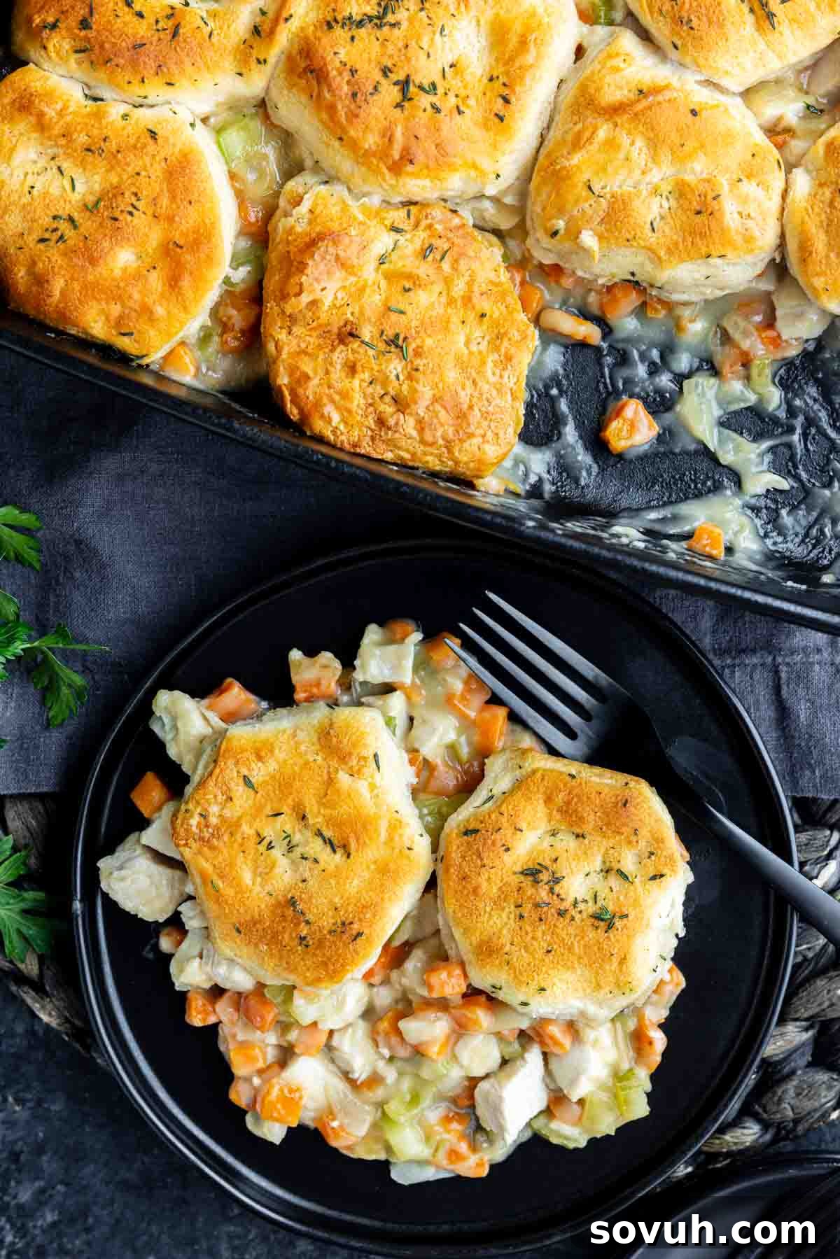 A plate of chicken pot pie topped with golden biscuits. The dish includes diced chicken, carrots, and celery in a creamy sauce, with additional biscuits in the baking dish above.