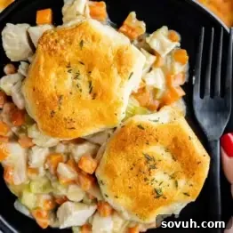 A plate of chicken pot pie with two golden biscuits on top, served with a black plastic fork. The filling includes diced chicken, carrots, and celery in a creamy sauce.