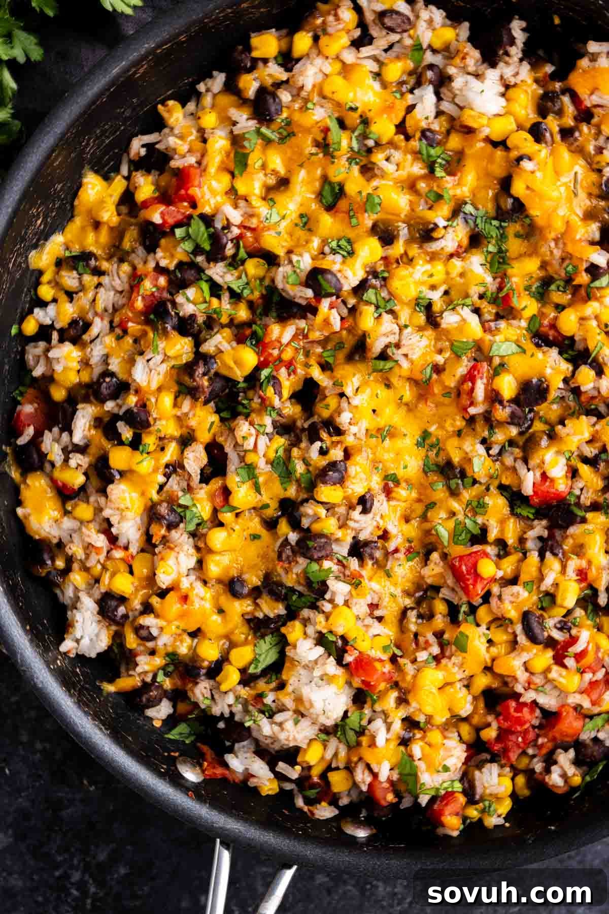 A cast iron skillet filled with a vibrant mixture of Southwest beans and rice, topped with melted cheddar cheese and freshly chopped cilantro, ready to be served.