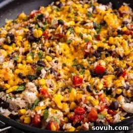 A skillet filled with a mixture of rice, black beans, corn, diced tomatoes, and melted cheddar cheese, garnished with chopped cilantro.