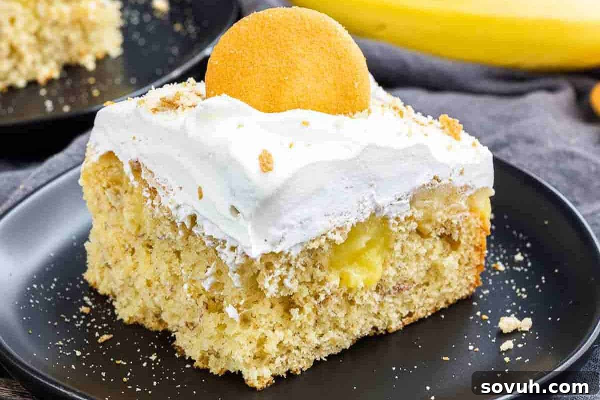 A generous slice of moist Banana Pudding Cake, beautifully topped with creamy white frosting and garnished with a delicate wafer, presented on an elegant black plate, ready to be savored.