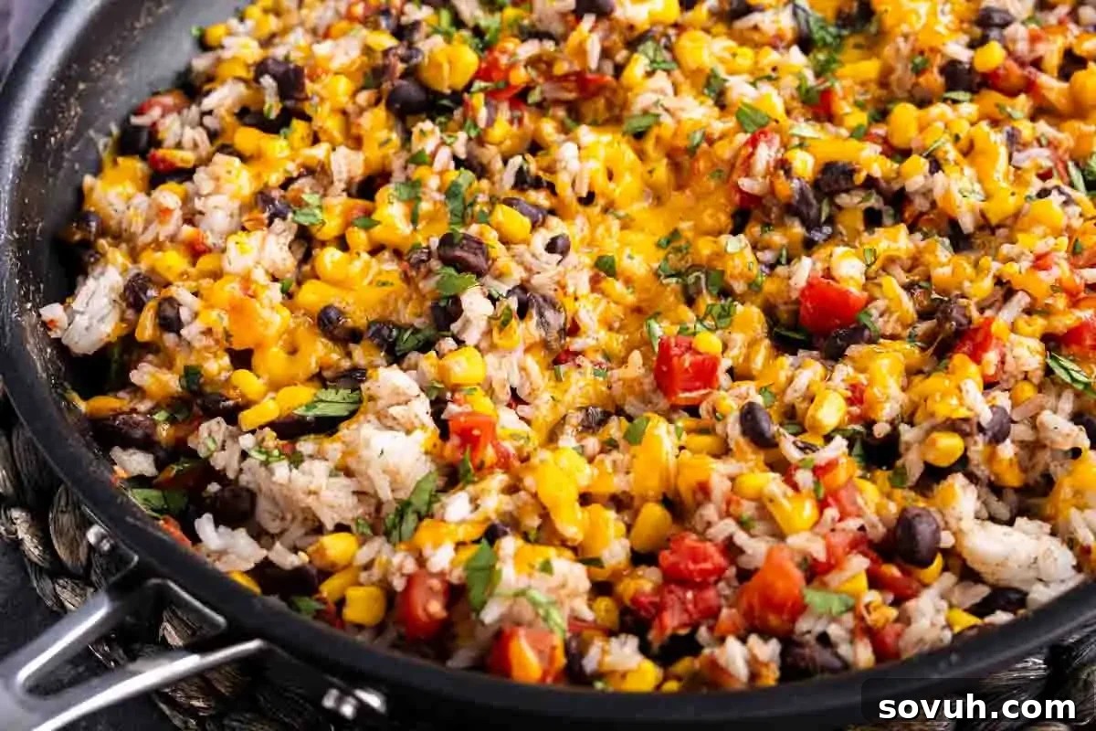 A single skillet brimming with a colorful and appetizing mix of perfectly cooked rice, hearty black beans, sweet corn kernels, juicy diced tomatoes, finely chopped fresh herbs, and a generous layer of glistening melted cheddar cheese. This vibrant dish promises a quick and satisfying meal.