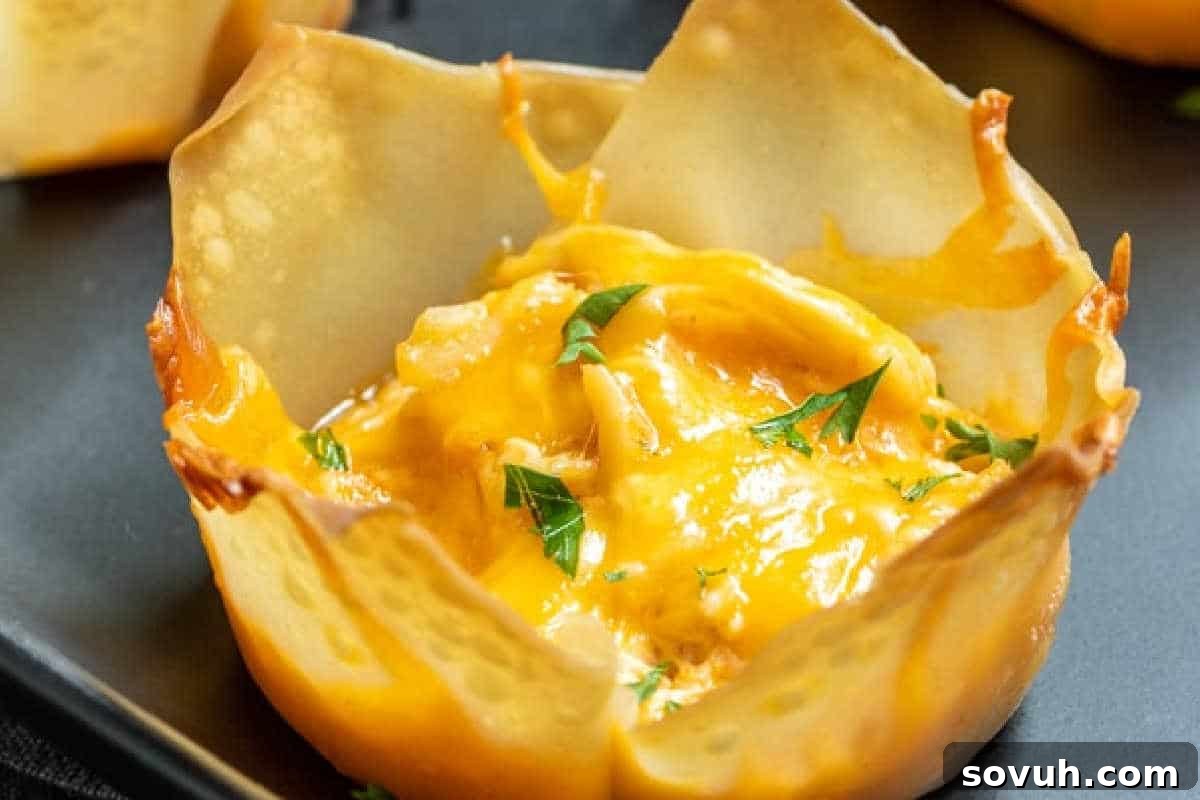 A close-up of a baked wonton cup filled with melted cheese and garnished with chopped parsley, resting on a dark surface, highlighting its golden, crispy edges and creamy filling.