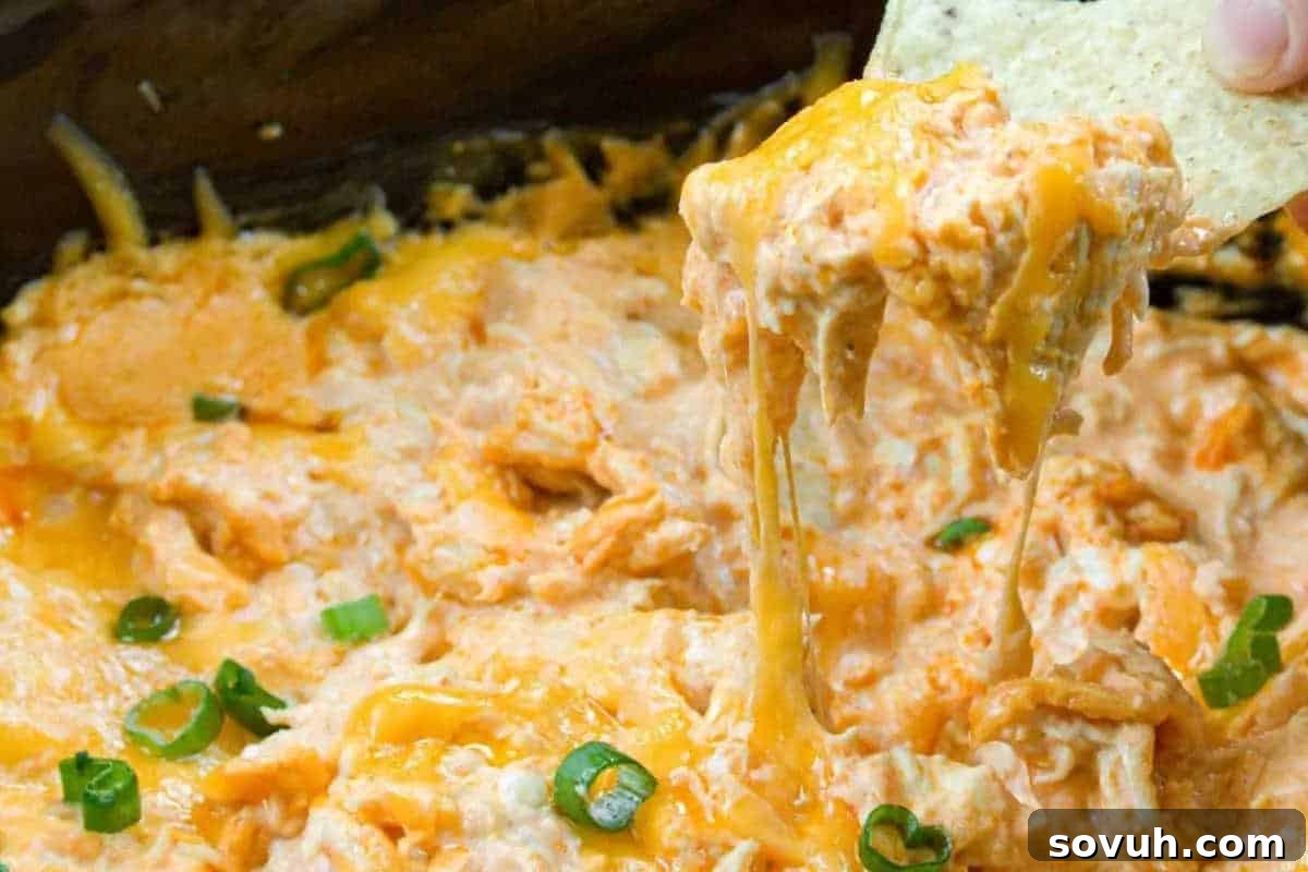 A crisp tortilla chip poised to scoop a generous portion of cheesy, bubbling buffalo chicken dip, visibly topped with rich melted cheese and vibrant sliced green onions.