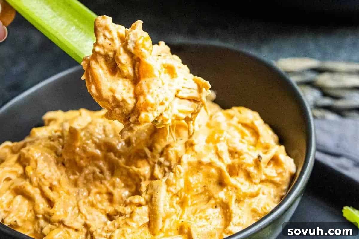 A bowl of rich, creamy buffalo chicken dip, garnished with a few fresh herbs, with a crisp celery stick being dipped into it, ready for a delicious scoop.
