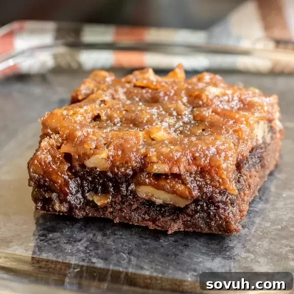 Rich Pecan Pie Brownies topped with chopped pecans, ready to be served.