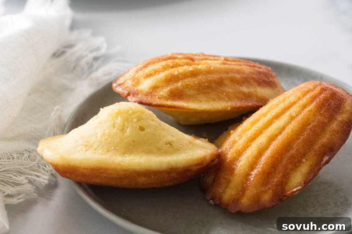 Three golden-brown madeleine cakes sit on a gray plate, with one madeleine split open to show its soft interior.