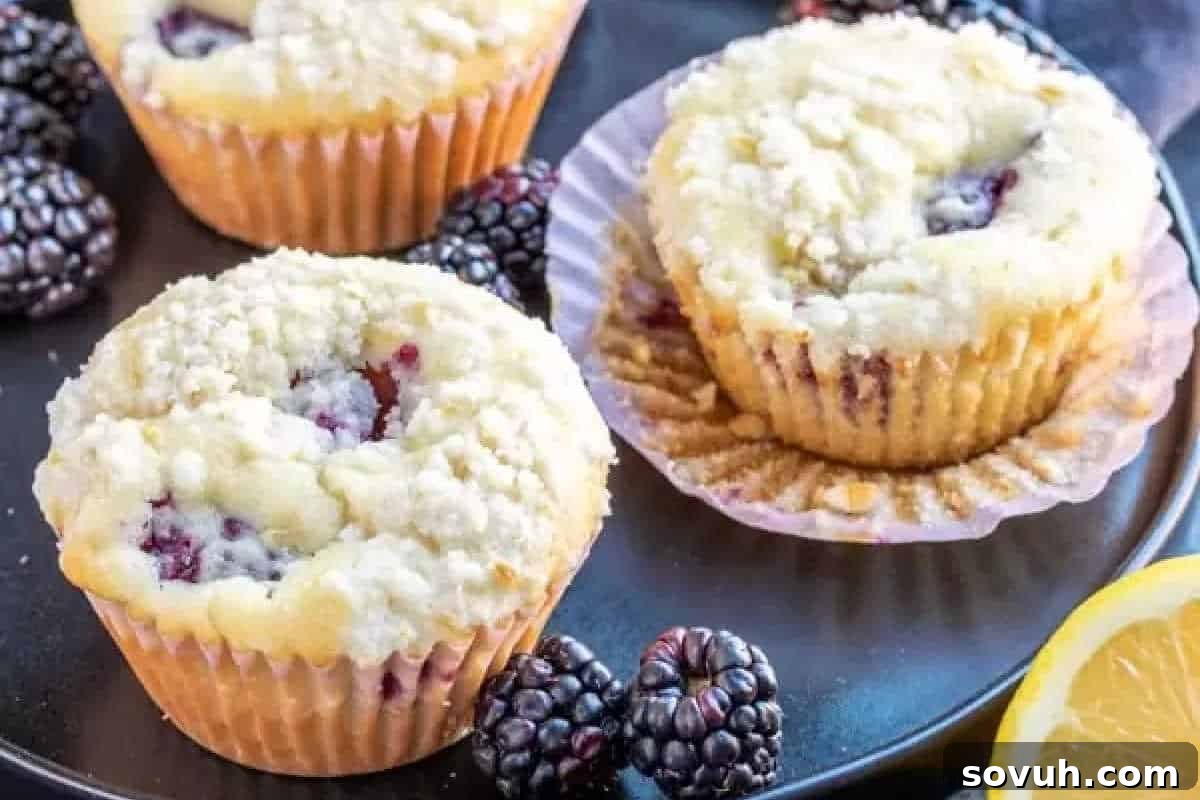 Three blackberry muffins with crumb topping on a plate, surrounded by fresh blackberries and a lemon slice.