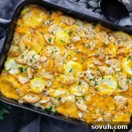 A baked casserole topped with sliced yellow squash, melted cheddar cheese, crushed crackers, and chopped herbs in a rectangular pan.
