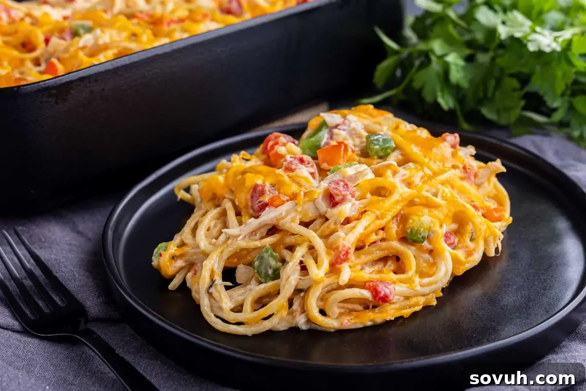 A generous serving of creamy, cheesy baked spaghetti casserole with chicken, Rotel tomatoes, bell peppers, and melted cheese on a black plate, with the baking dish and fresh parsley in the background.