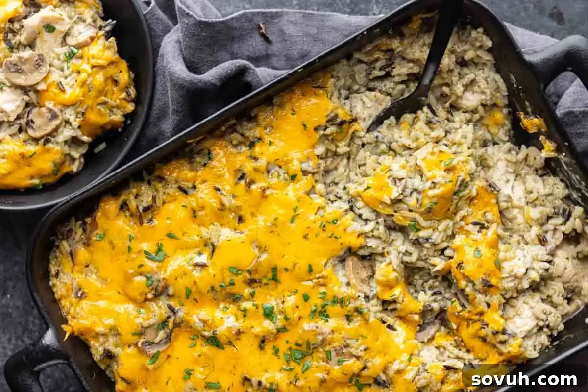 A hearty baking dish filled with a creamy, cheesy, and beautifully baked mushroom and rice casserole, with a generous portion already served out onto a plate, and a serving spoon resting in the pan, ready for more.