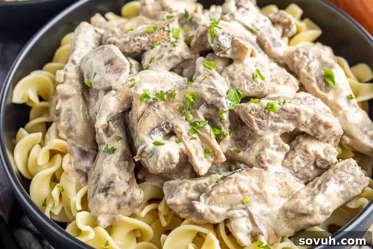 A classic bowl of rich egg noodles, generously topped with creamy beef stroganoff, and elegantly garnished with freshly chopped parsley.