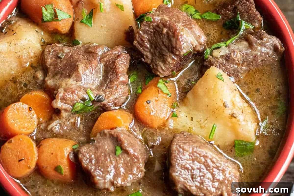 A hearty beef stew, brimming with tender chunks of beef, sweet carrots, wholesome potatoes, and fresh herbs, all simmering in a rich broth, served invitingly in a vibrant red bowl.