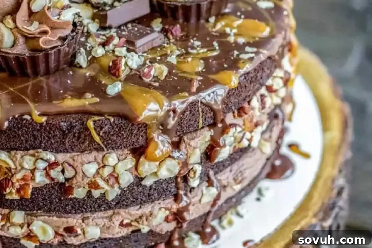 A magnificent chocolate layer cake, lavishly adorned with chopped nuts, a delicate caramel drizzle, scattered chocolate pieces, and mini peanut butter cups, presented on an elegant wooden cake stand.