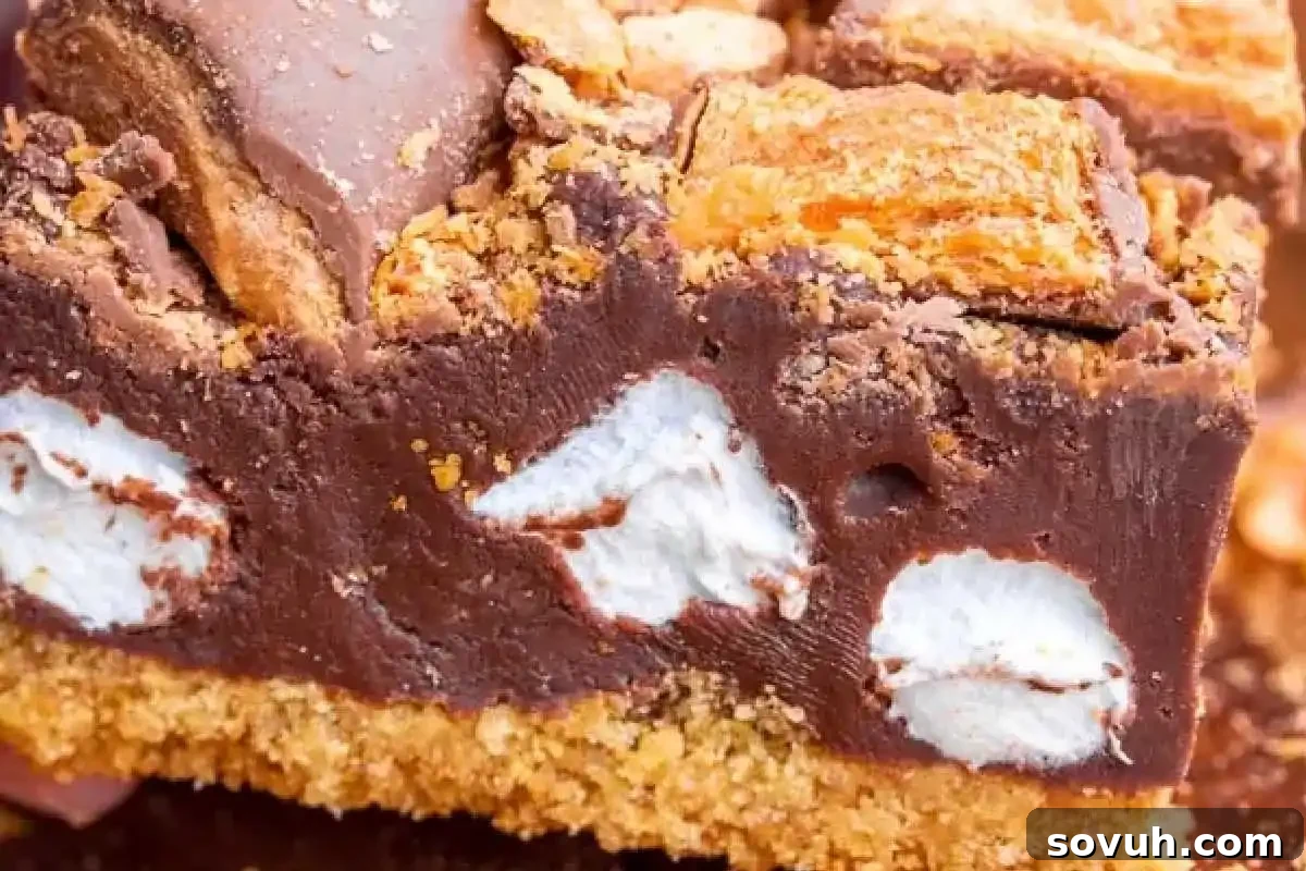 A tempting close-up of a rich chocolate dessert bar with clearly visible mini marshmallows, a rustic graham cracker crust, and a sprinkle of crushed graham crackers on top.