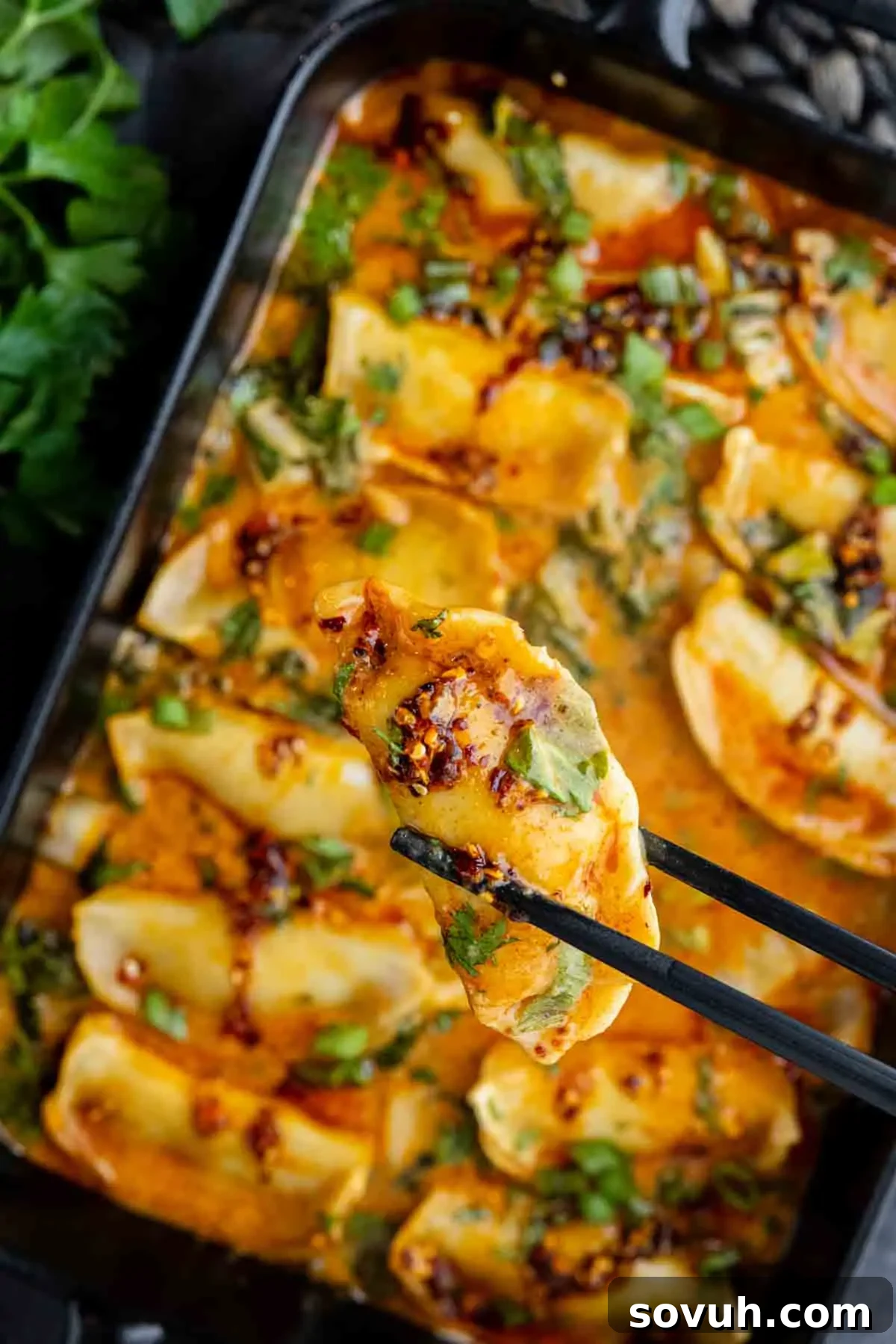 A close-up of chopsticks holding a dumpling above a tray of one pan baked dumplings topped with chili oil, herbs, and green onions.