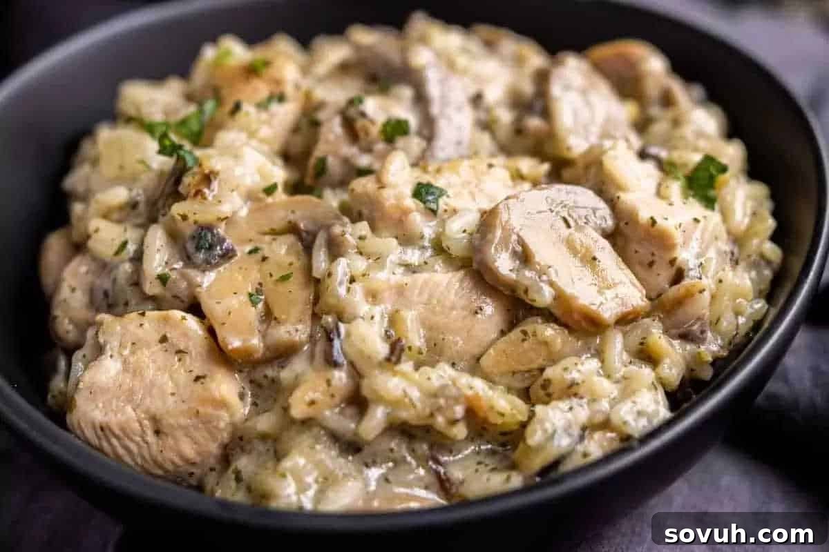 A bowl of creamy mushroom and chicken risotto garnished with herbs.