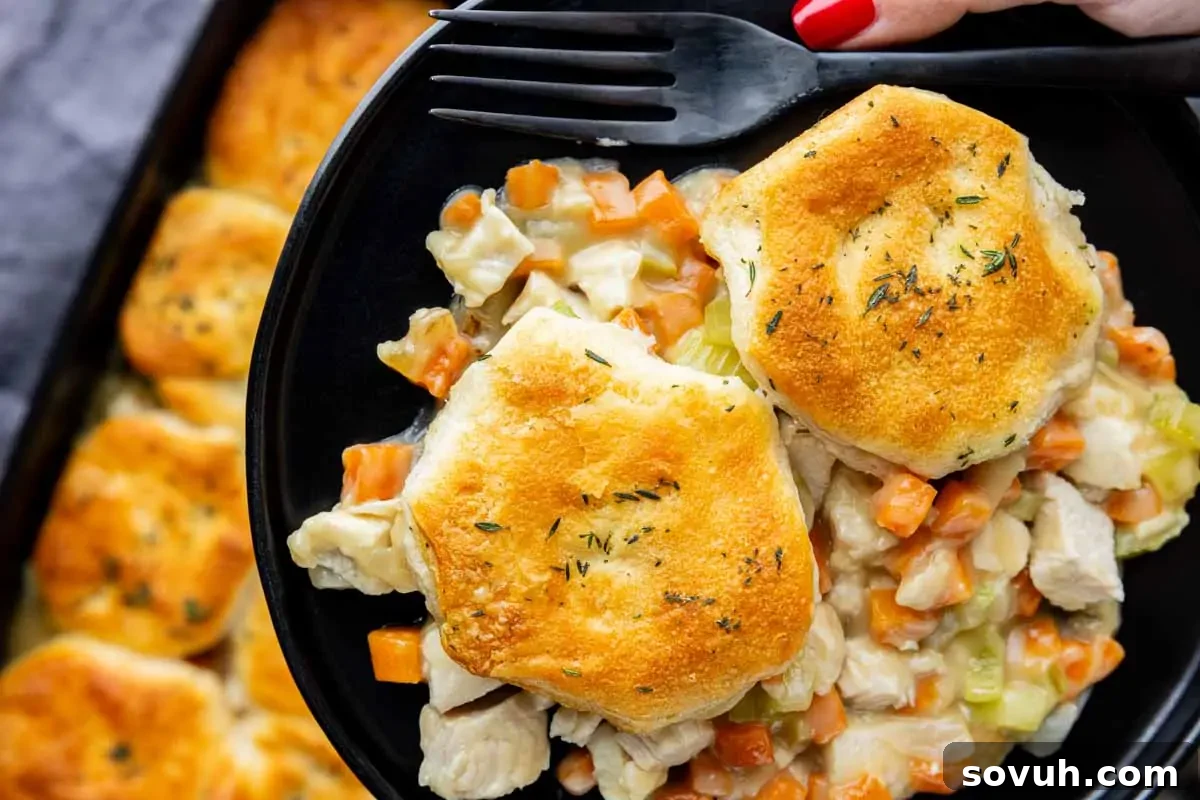 A close-up of a plate with chicken pot pie topped with two golden biscuits, featuring diced chicken, carrots, and celery in a creamy sauce.