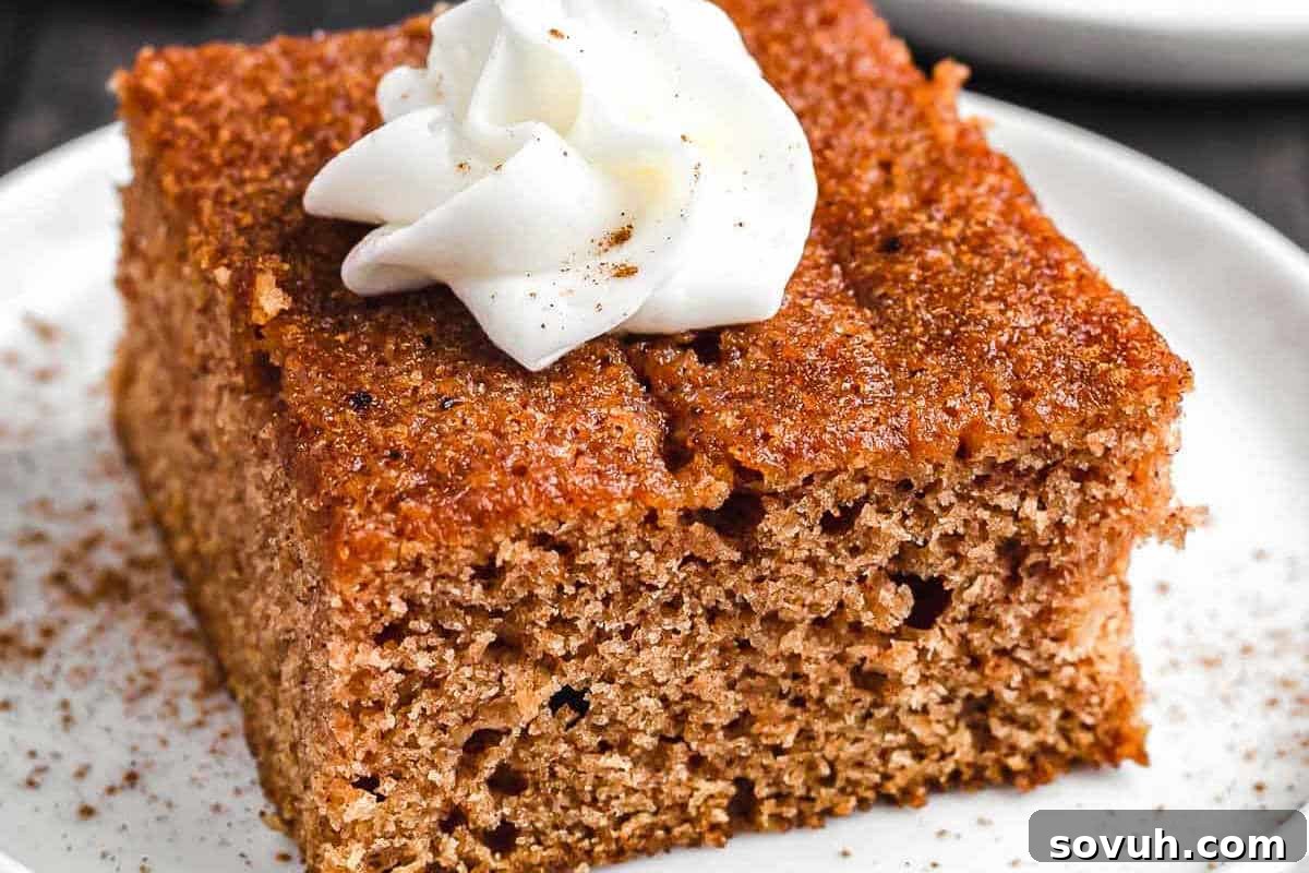 A slice of spiced brown cake topped with a swirl of whipped cream sits on a white plate—perfect for those who love simple baking and easy recipes.