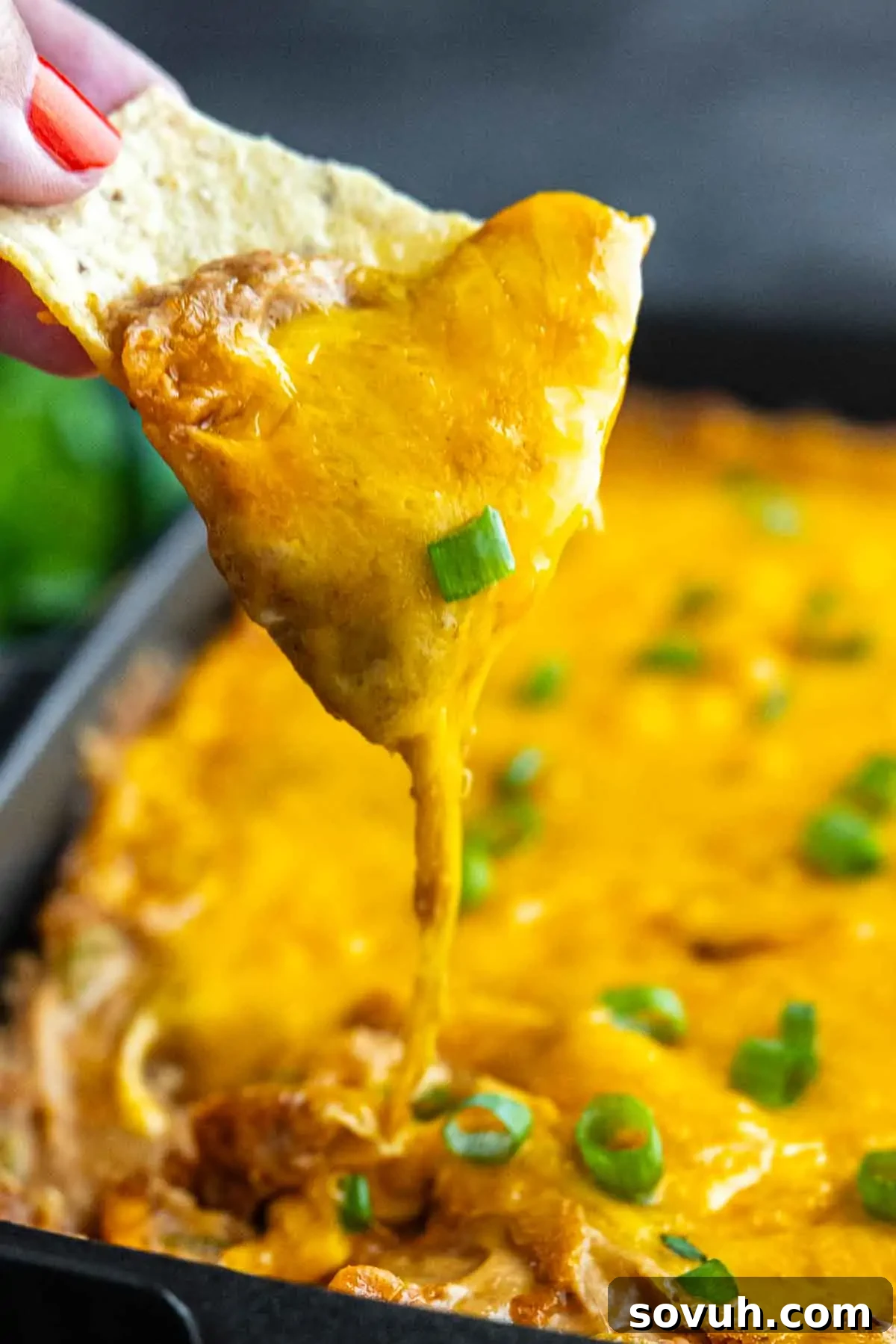 A tortilla chip dipped into a cheesy bean dip casserole topped with melted cheddar and sliced green onions.