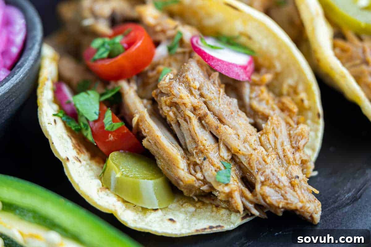 Close-up of a taco filled with shredded meat, sliced radishes, pickles, cherry tomatoes, and cilantro with a blurred background.