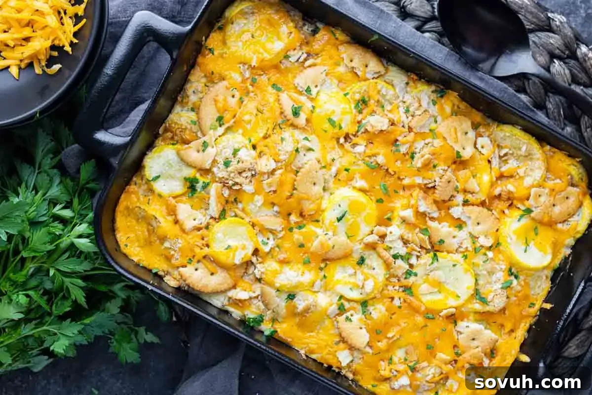 A baked summer squash casserole in a black dish, topped with melted cheese, sliced yellow squash, and crushed crackers, garnished with chopped parsley. A bowl of shredded cheese and fresh parsley are nearby.