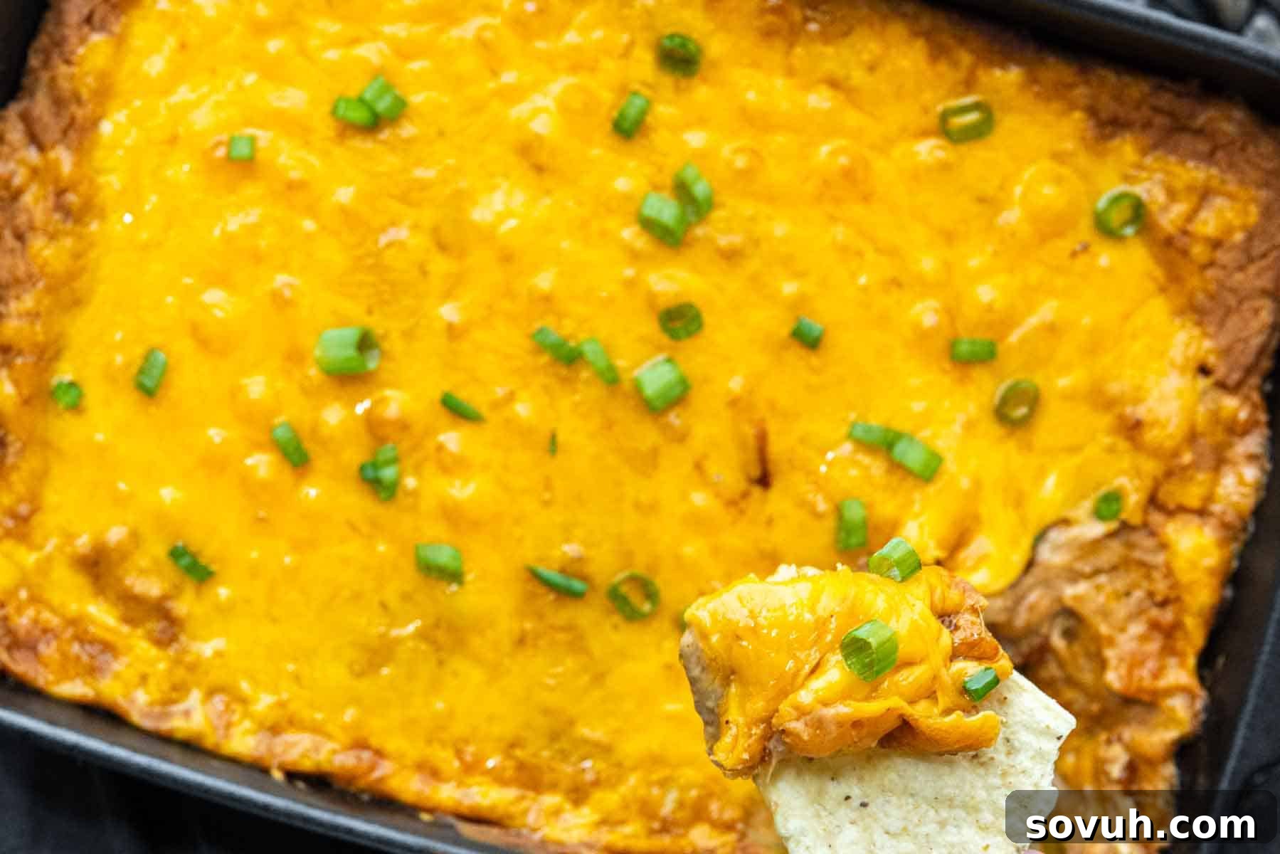 A baking dish filled with cheesy dip topped with chopped green onions, with a chip scooping out some of the dip in the foreground.
