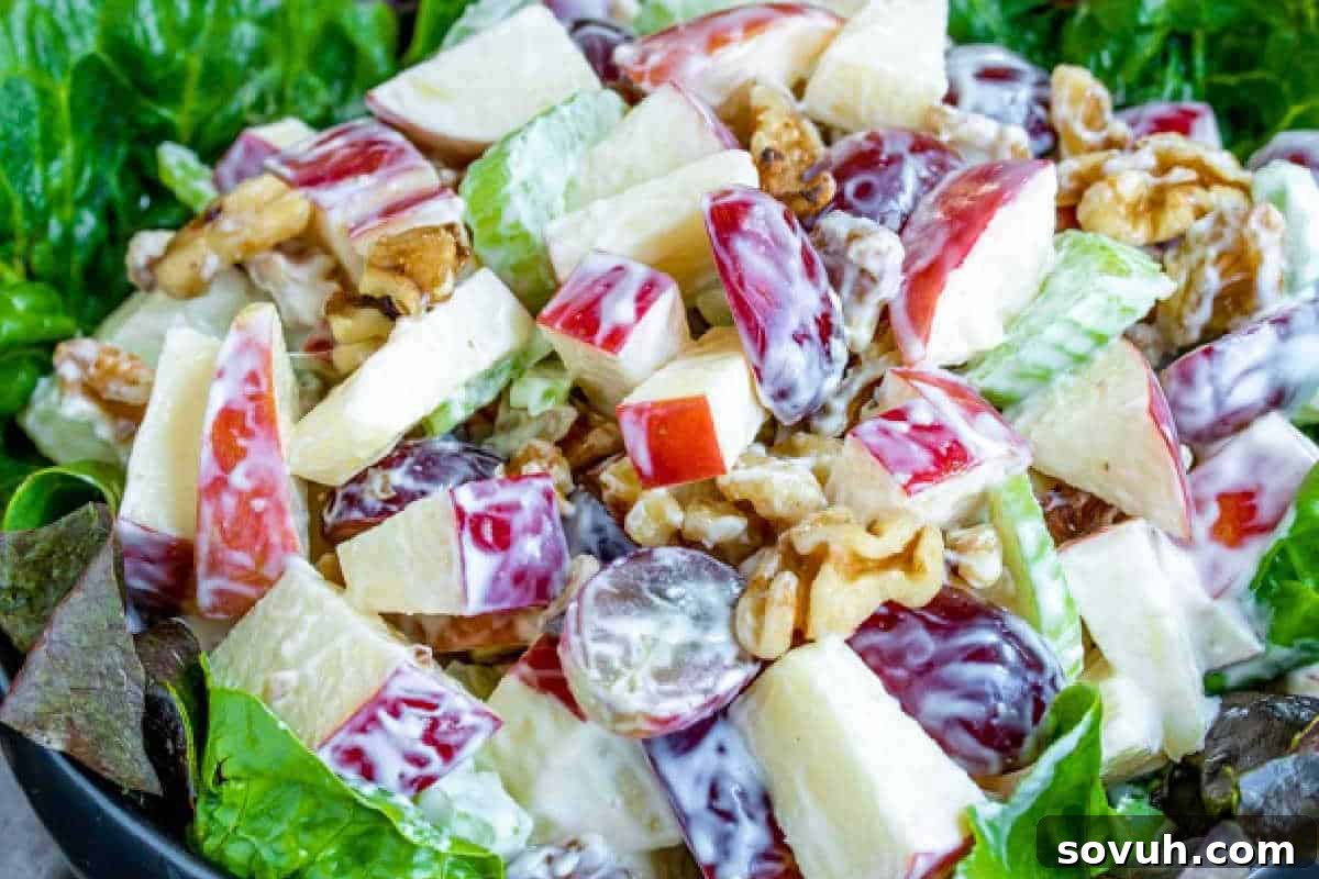 A refreshing and elegantly prepared salad featuring crisp chopped apples, vibrant red grapes, crunchy celery, earthy walnuts, and fresh lettuce, all gently coated in a creamy, luscious dressing—a perfect offering for delicious fall recipes.