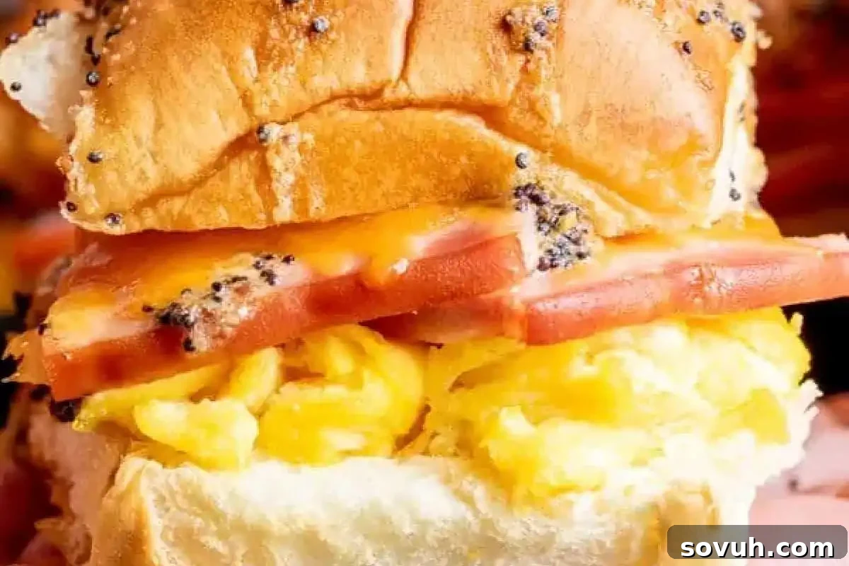 Close-up of a sandwich with scrambled eggs, tomato slices, melted cheese, and poppy seed topping on a bun.