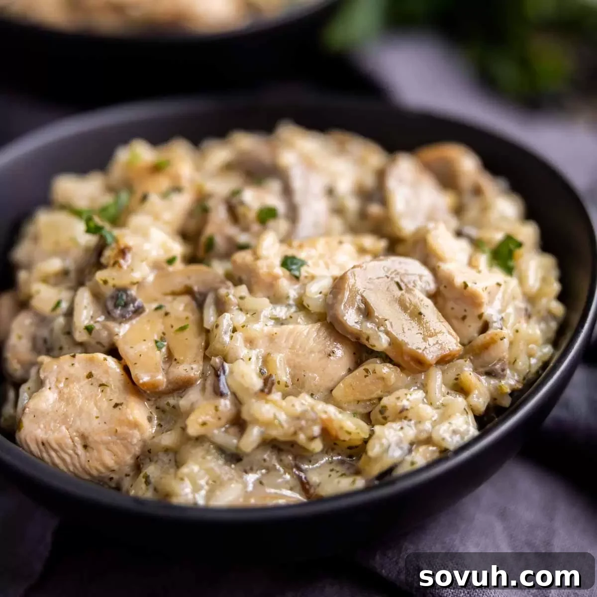 black bowl of Cream of Mushroom Chicken and Rice, garnished with fresh herbs