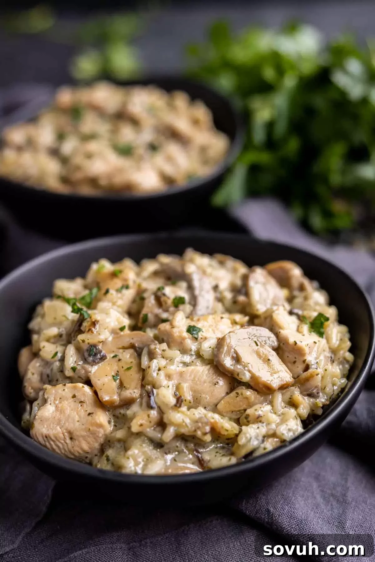 Two bowls of Cream of Mushroom Chicken and Rice with a spoon in one