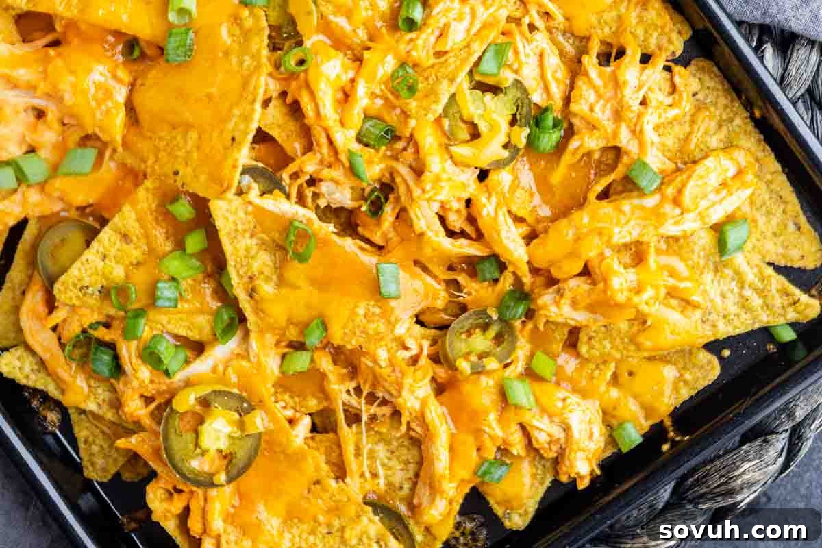A tray of loaded nachos with buffalo chicken, topped with melted cheddar cheese, shredded chicken, jalapeño slices, and chopped green onions.