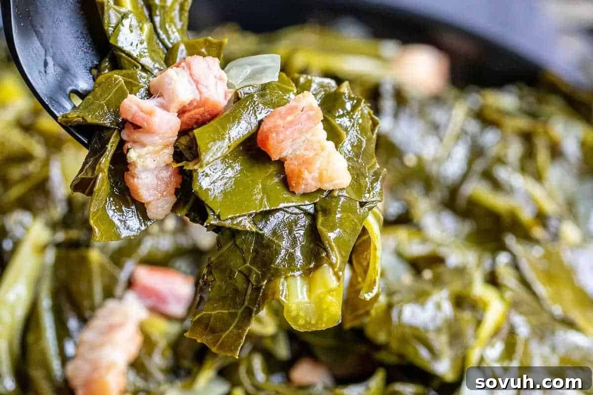 Close-up of cooked collard greens mixed with pieces of bacon in a spoon.